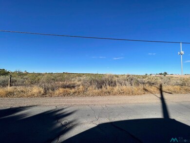 xxxx S 8th St, Deming, NM 88030 - photo 2
