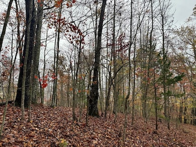 0 Poplar Ridge Ln, Franklin, NC 28734 - photo 7