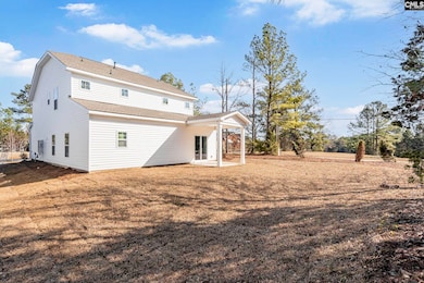 201 Boseman Rd, Irmo, SC 29063 - photo 6