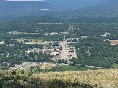 0 Hovering Hawk Dr unit RTC2912800, Jasper, TN 37347 - photo 4