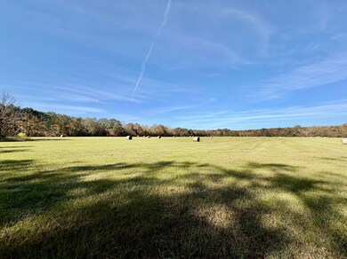 6803 Bowling Green Rd, Durant, MS 39063 - photo 2