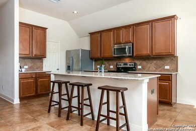 17930 Bierstadt Mount, Helotes, TX 78023 - photo 7