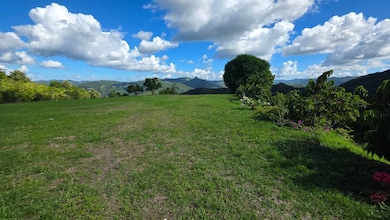 Bo. Río Hondo Carr 156 Km 2 5 Hm 29 4 Sector La Junc, Comerío, PR 00782 - photo 5