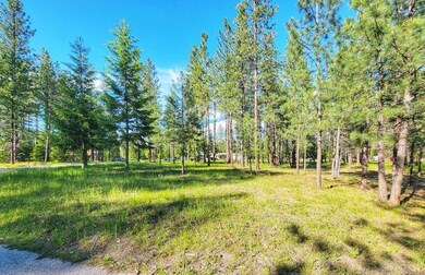 253 Eagle Dr, Chewelah, WA 99109 - photo 3