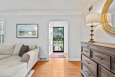 Entrance foyer featuring crown molding, light wood-style floors, healthy amount of natural light, and baseboards