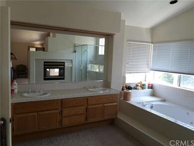 HUGE MASTER BATHROOM, NOTE FIREPLACE AND SHOWER IN