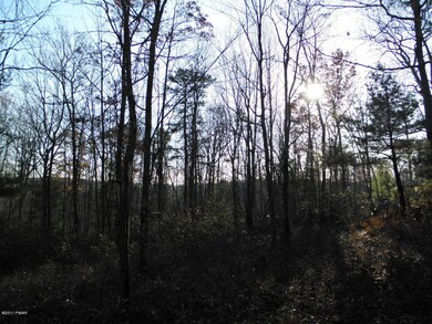 7 Briarcrest Dr, Lackawaxen Township, PA 18428 - photo 3