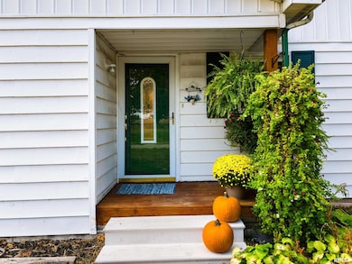 7 Sycamore Bay, Lacon, IL 61540 - photo 7