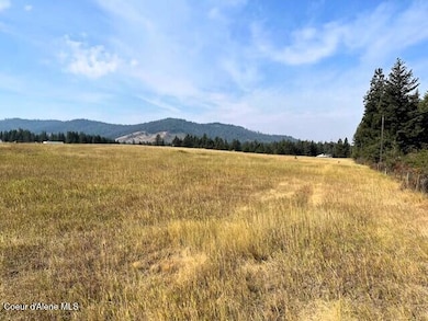 NKA-1 Bill Morris Rd, Plummer, ID 83851 - photo 2