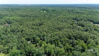 0 Marks Ave unit 380649, Bay Minette, AL 36507 - photo 5