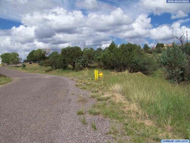 0000 Briarwood Ln, Silver City, NM 88061 - photo 5