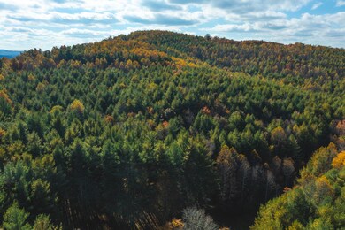DJI_0588