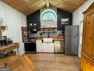 468 Charlottes Web Dr, Ellijay, GA 30540 - photo 4