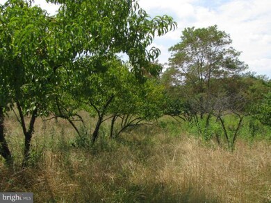 0 A Orchard Point unit 1004622112, Levels, WV 25431 - photo 2