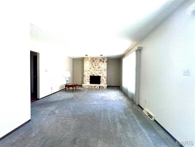 707 S Library St, Waterloo, IL 62298 - photo 6