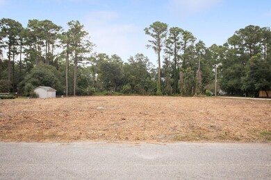 102 Bradley Pines