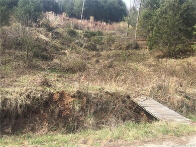 631 Roland Branch Rd, Burnsville, NC 28714 - photo 4