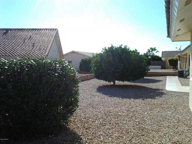 Backyard 2