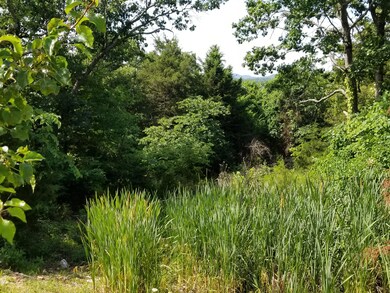 Tbd Lot 40 Summer Rd, Ruth B Rural Township, MO 65686 - photo 7