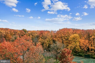 River Towers unit 910, Alexandria, VA 22307 - photo 2