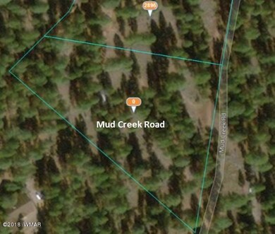Aerial - TBD Mud Creek Rd