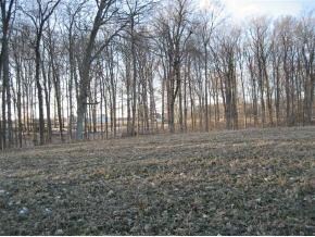 0 Haskamp Rd, Oldenburg, IN 47036 - photo 3