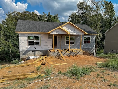 0 Skyview Dr unit RTC2972886, Ashland City, TN 37015 - photo 4