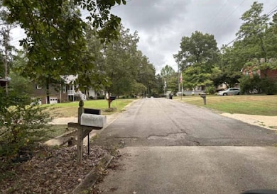 5190 Memory Ln, Mount Olive, AL 35117 - photo 3