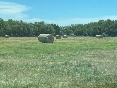 3783 N Washboard Rd, North Platte, NE 69101 - photo 5