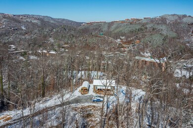 homesandvideos aerials-10892