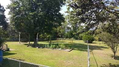 Summer Back Fenced Yard