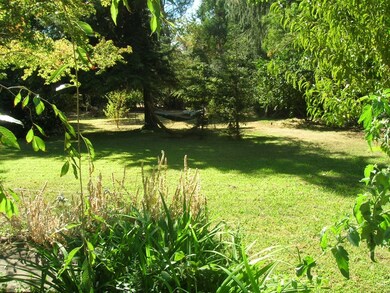 More backyard
