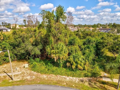 13273 Jessica Dr, Spring Hill, FL 34609 - photo 2