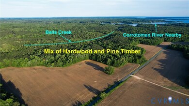 108.5 AC Buzzards Neck Rd, Lancaster, VA 22503 - photo 7