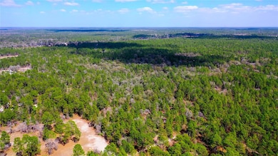 7137 W Sunmar Sample Ln, Dunnellon, FL 34433 - photo 5