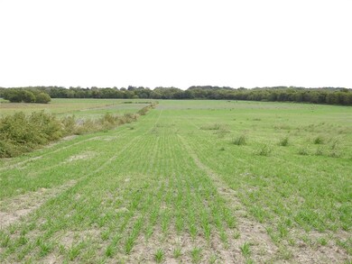 1125 County Road 4215, Bonham, TX 75418 - photo 3