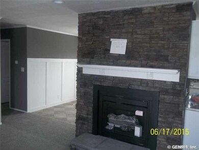 Other. Fireplace