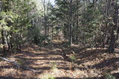 6 + - Ac Sky Line Dr, Chester, SC 29706 - photo 2