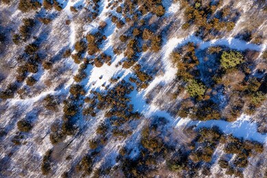 33 Vosburgh Rd, Red Hook, NY 12571 - photo 7