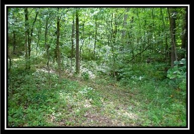 image006