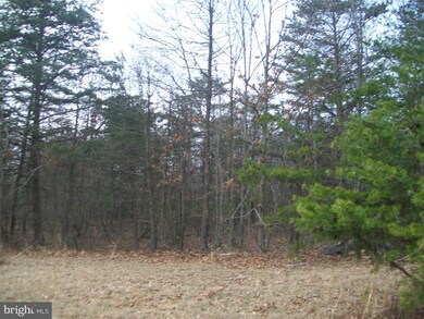 0 Our Ln unit 1000140256, Points, WV 25437 - photo 5