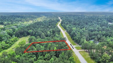 Serene, mature trees