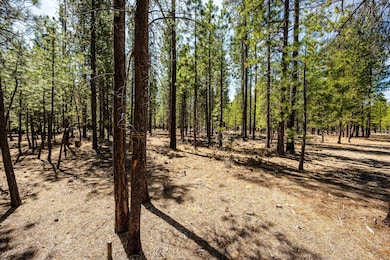 18-web-or-mls-4-28-25 51861 Knob Cone La