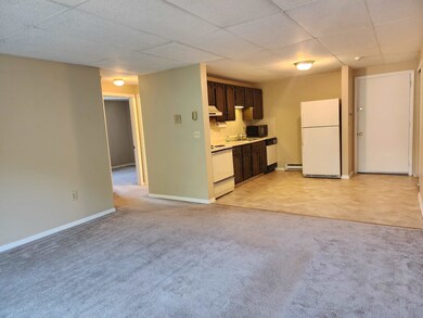 74 Constitution Dr unit 74, Londonderry, NH 03053 - photo 4