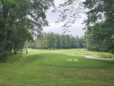 24919 E Riverside Dr, Hillman, MI 49746 - photo 5