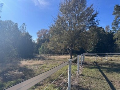 View of road with a forest view