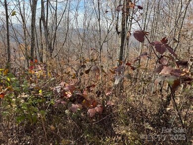 50 Scenic Wolf Ridge Rd, Mars Hill, NC 28754 - photo 7