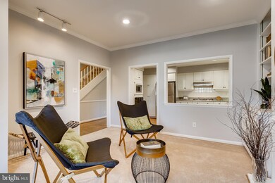 48 Olmsted Green Ct, Baltimore, MD 21210 - photo 5