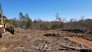 0 Highway 128 unit 2207517, Linden, TN 37096 - photo 7