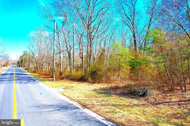 271 Shoemaker Ln, Bridgeton, NJ 08302 - photo 2